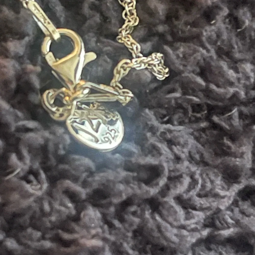 JZ by Jennifer Zeuner Sterling Silver Good Fortune Round Pendant Necklace - Picture 5 of 5